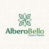 Albero Bello